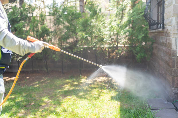 Best Residential Pest Control  in Rosemont, IL