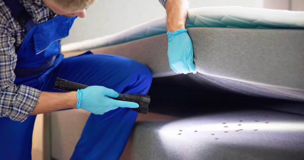 Best Best Pest Control Companies  in Rosemont, IL